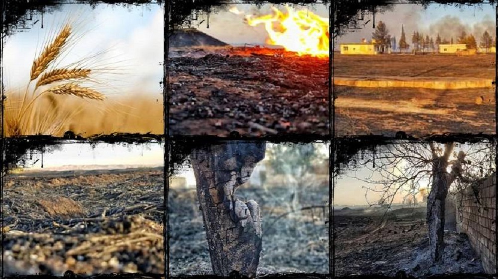 Mening jinsiy olatim katta, qizning qini kichik.